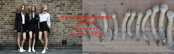 a pvp Армянск