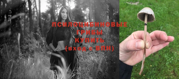 прущая мука Арсеньев