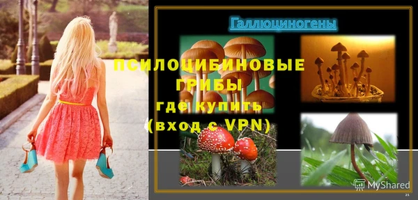 прущая мука Арсеньев