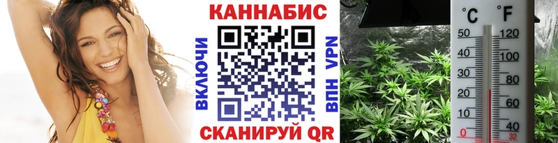 где найти наркотики  Сковородино  Канабис тримм 